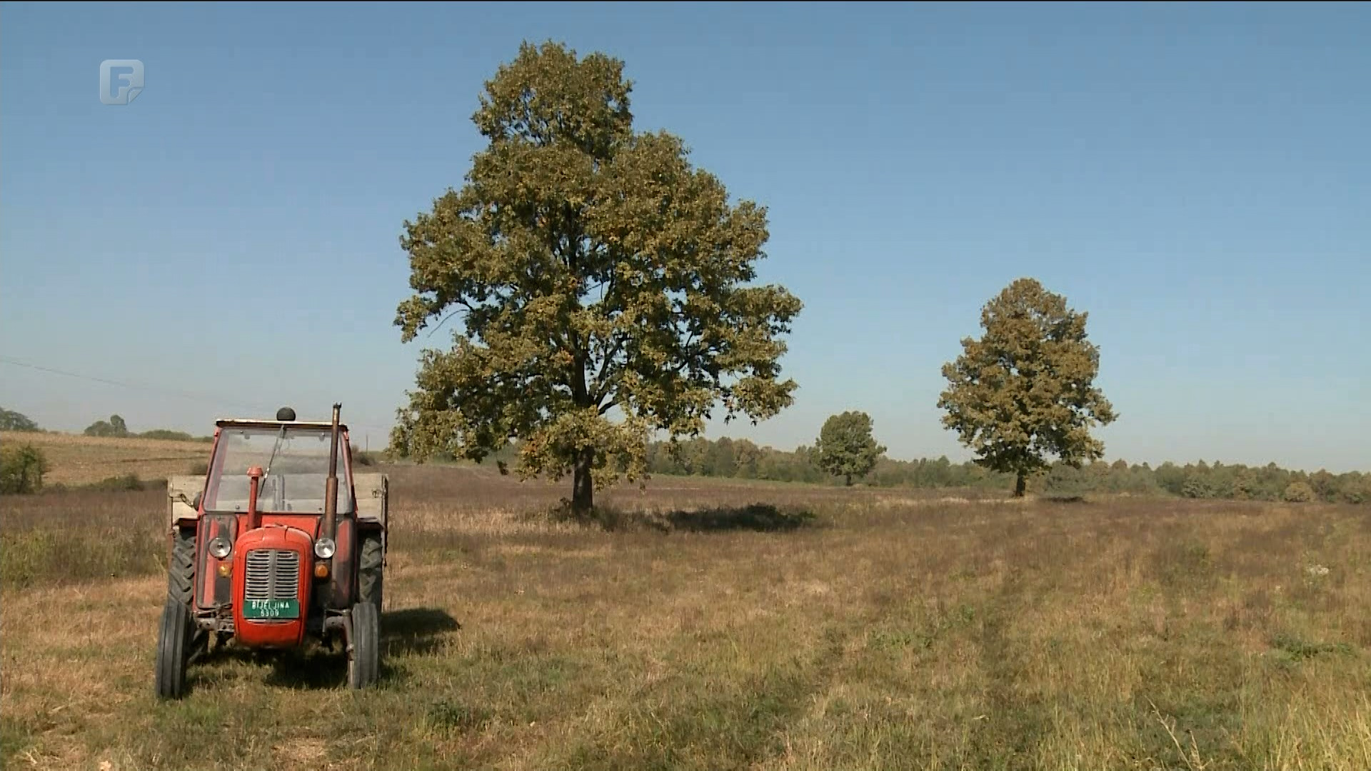 Žetva krušnog žita počinje, otkupna cijena još nije poznata